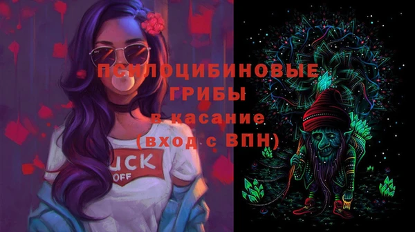 apvp Абаза