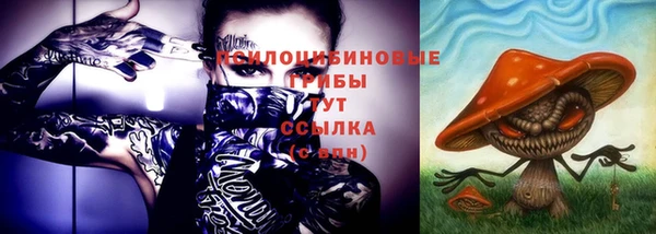 spice Абинск
